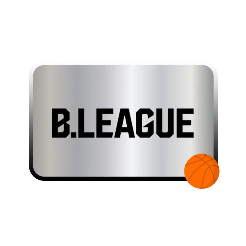B.League,B聯賽,日本職業籃球聯賽